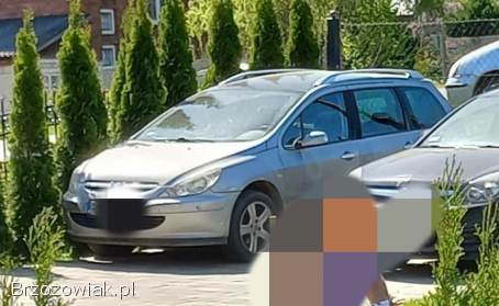 Peugeot 307 Sw 2004