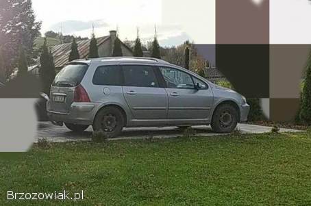 Peugeot 307 Sw 2004