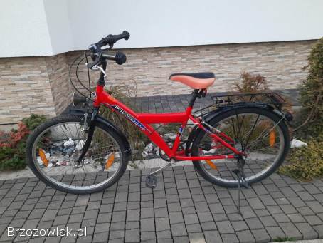 Rower górski na kołach 24