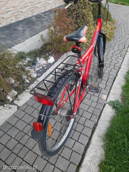 Rower górski na kołach 24
