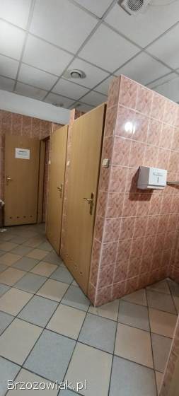 Lokale w centrum Brzozowa