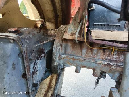Ursus C335 z 1981r Płaska Os kabina Oryginał Zadbana Transport