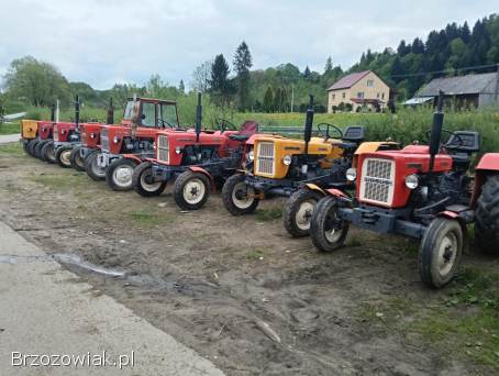 Ursus C335 z 1981r Płaska Os kabina Oryginał Zadbana Transport