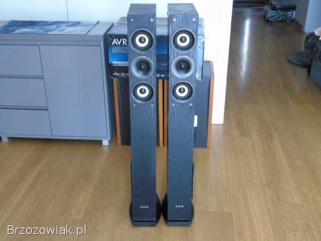Świetne kolumny stereo AEG 2 x 480 wat.  DOSTAWA.