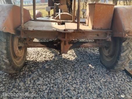 Traktor bibek sam dzik