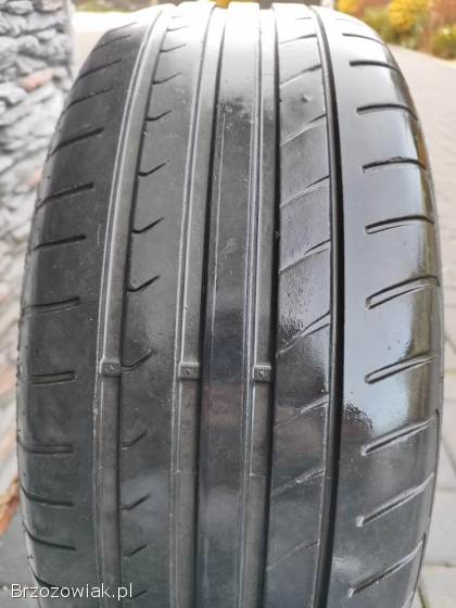 Opony letnie Dunlop 205/55/16