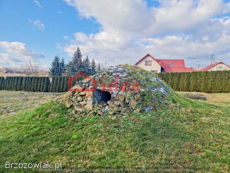 Dom w nowej niższej cenie w Bliznem