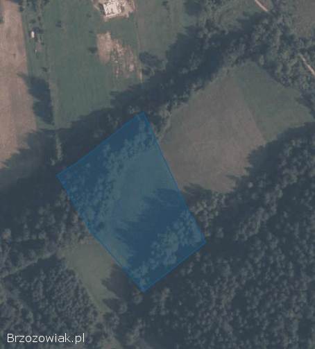 Piękna 1,  28 ha działka na terenie Gór Słonnych,  Bezmiechowa Górna
