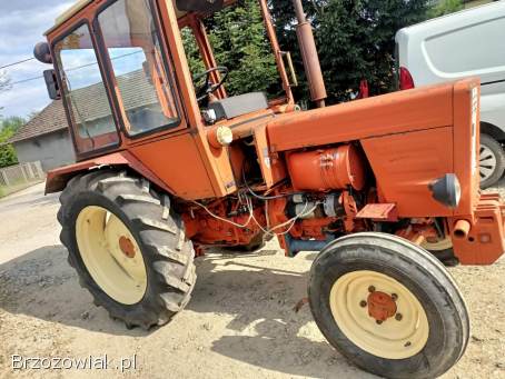 Wladimirec T25 t 25 95 Rok