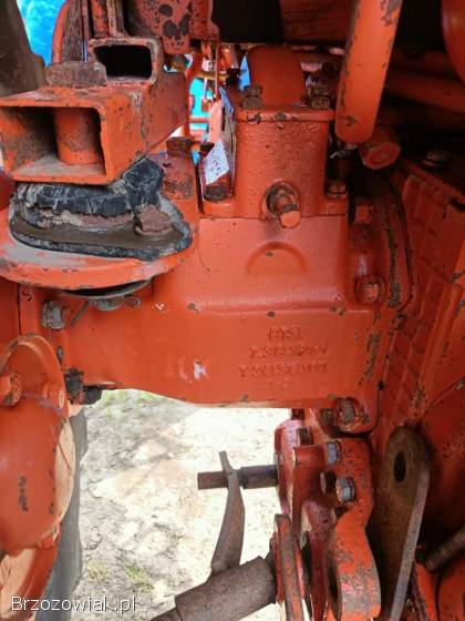 Wladimirec T25 t 25 95 Rok