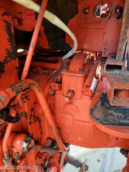 Wladimirec T25 t 25 95 Rok