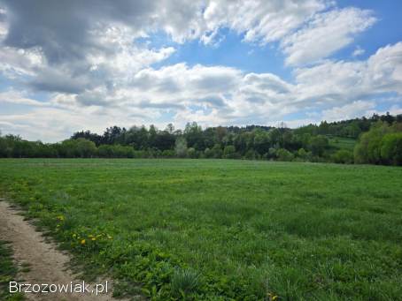 Działka budowlana w Olszanicy