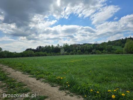 Działka budowlana w Olszanicy