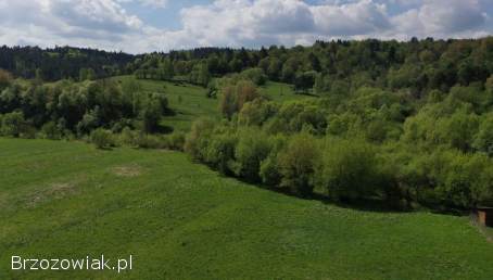 Działka budowlana w Olszanicy