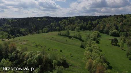 Działka budowlana w Olszanicy