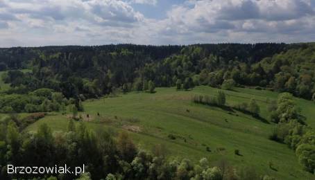 Działka budowlana w Olszanicy