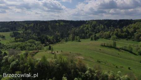 Działka budowlana w Olszanicy