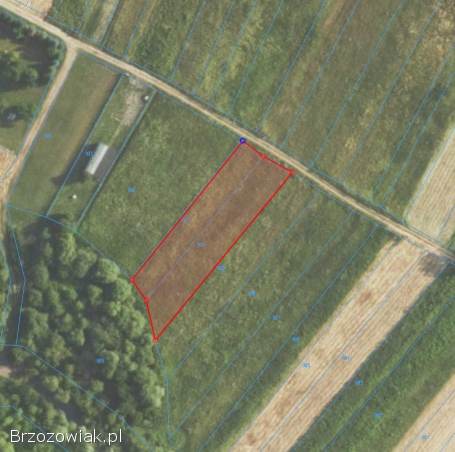 Działka budowlana w Olszanicy