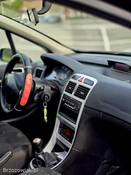 Peugeot 307 2007