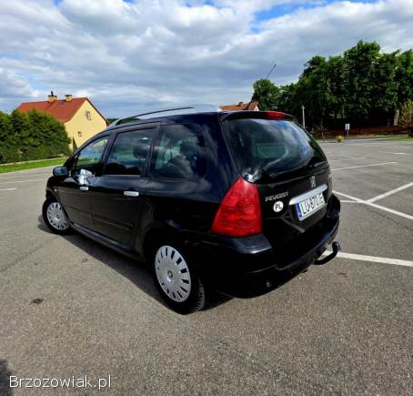Peugeot 307 2007
