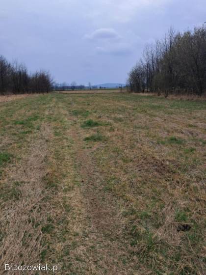 Działka budowlana w Szczepańcowej