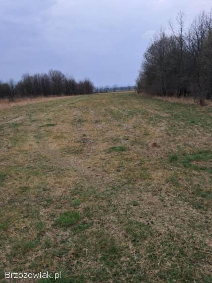Działka budowlana w Szczepańcowej