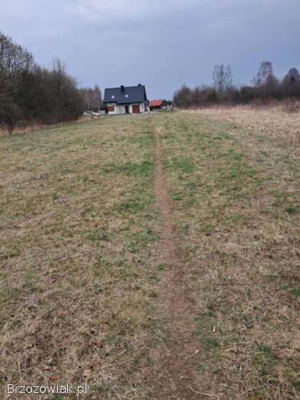 Działka budowlana w Szczepańcowej