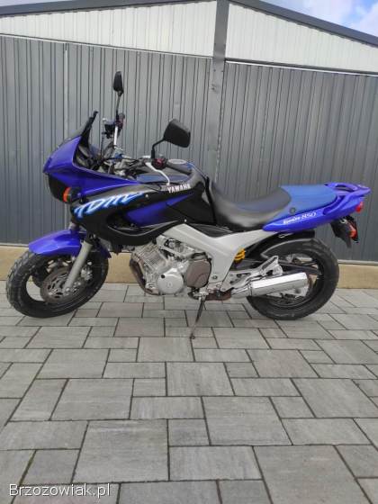 Yamaha TDM 1996