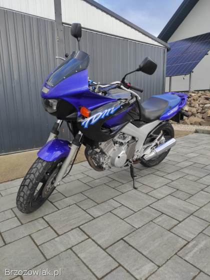 Yamaha TDM 1996