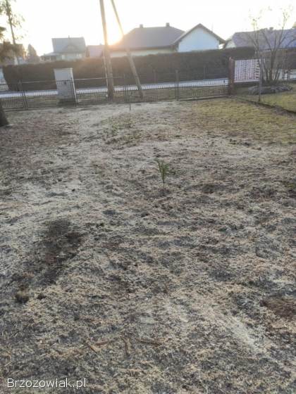 Usuwanie Pni z Ogrodu -  Frezowanie