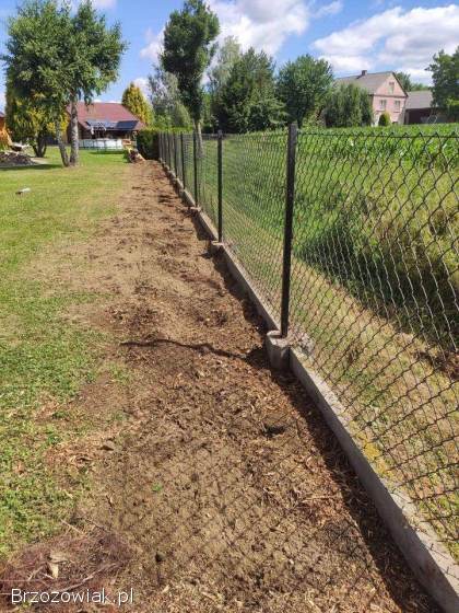 Usuwanie Pni z Ogrodu -  Frezowanie