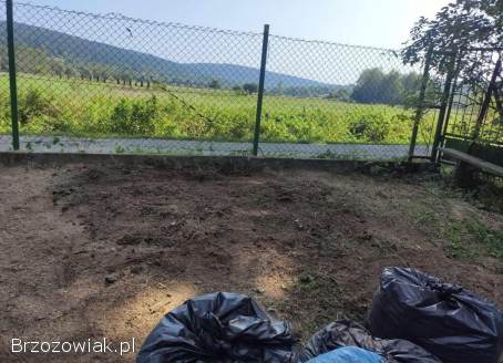 Usuwanie Pni z Ogrodu -  Frezowanie