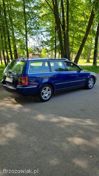 Volkswagen Passat B5FL 2001