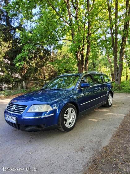 Volkswagen Passat B5FL 2001