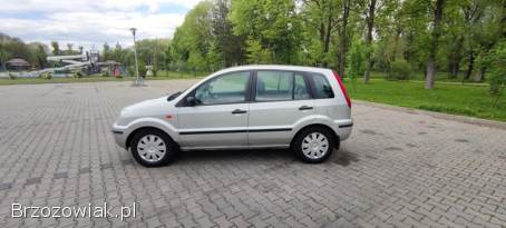 Ford Fusion 1.  4TDCi 2004
