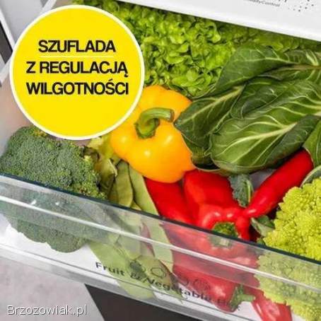 Lodówka HISENSE RB440N4GBE No frost 200.  4cm Czarna (szkło) licowane