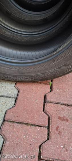 Nokian 225/60 r 17