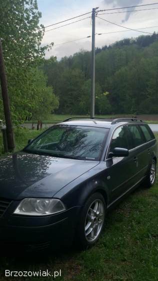 Volkswagen Passat B5 2003