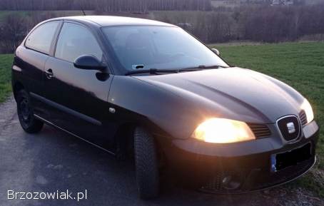 Seat Ibiza 2007