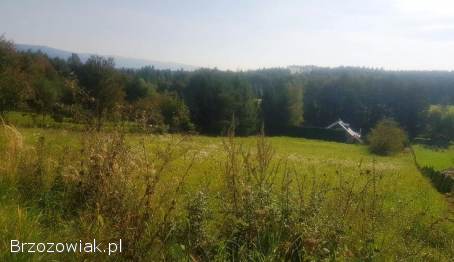 Działka pod zabudowę w Stróżach Małych (8 min.  od Sanoka)