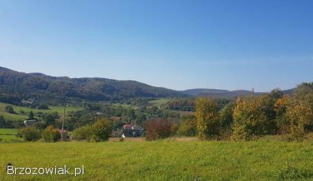 42-arowa działka z lasem w miejscowości Liszna koło Sanoka