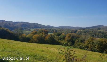 42-arowa działka z lasem w miejscowości Liszna koło Sanoka