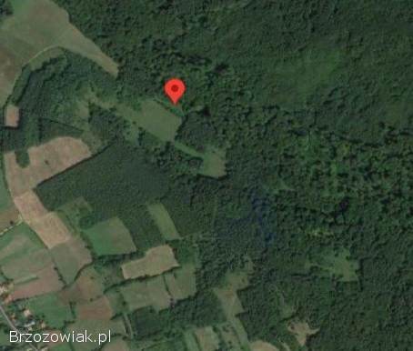 42-arowa działka z lasem w miejscowości Liszna koło Sanoka