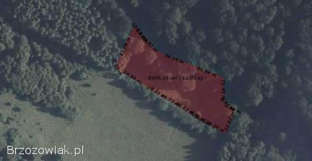 42-arowa działka z lasem w miejscowości Liszna koło Sanoka