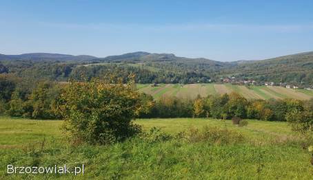 42-arowa działka z lasem w miejscowości Liszna koło Sanoka