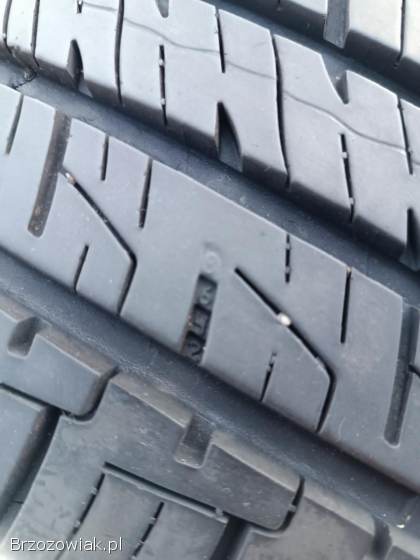 R18 225/55 Wielosezonowe Goodyear