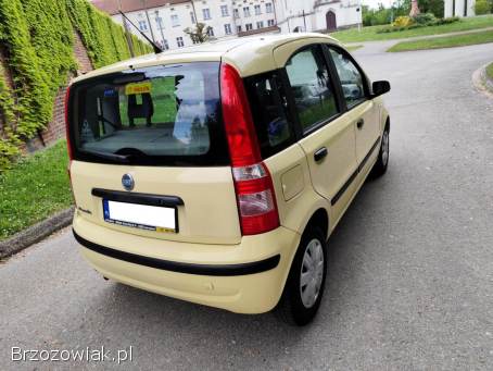 Fiat Panda 1.  1 Tania Jazda 2004