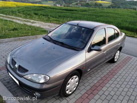 Renault Megane 1.  9 DTI.  Salon PL 2002
