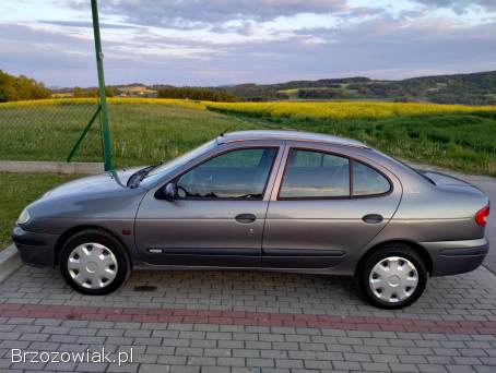Renault Megane 1.  9 DTI.  Salon PL 2002