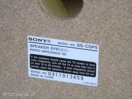 Kolumny Sony SS-CGP5 mocne i sprawne.  WYSYŁKA.